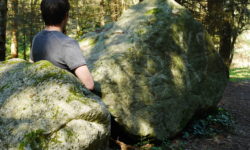 Druides d'Auvergne