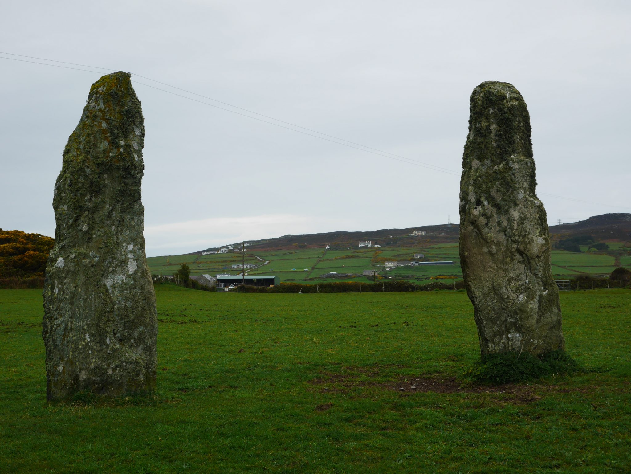 Les pierres levées de Penrhos Feilw, sur Holy Island.