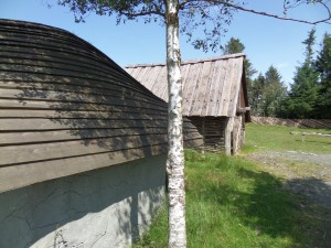 Ferme viking     