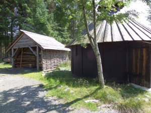 Ferme viking     